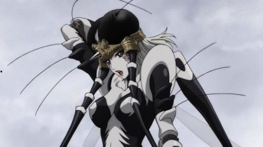 龙形拳之无敌陈小婉