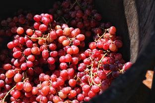 疯狂德克萨斯,狂野西部传奇的激情岁月